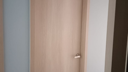 Veneer Finish Wood Door